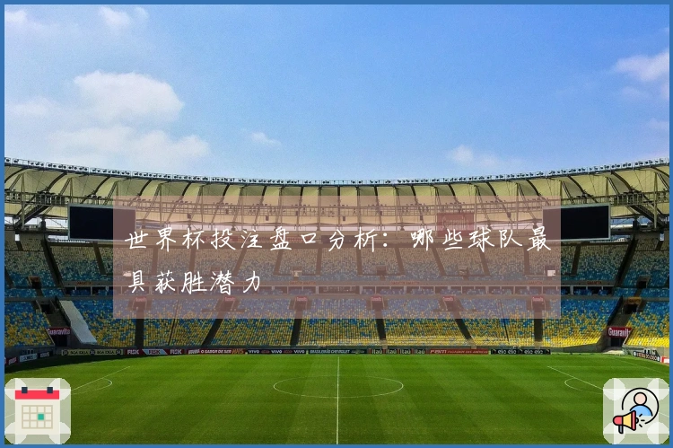 世界杯投注盘口分析：哪些球队最具获胜潜力