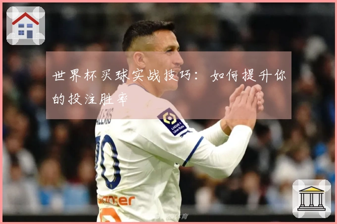 世界杯买球实战技巧：如何提升你的投注胜率