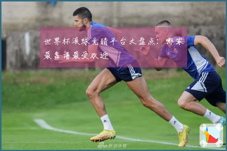 世界杯滚球竞猜平台大盘点:哪家最靠谱最受欢迎