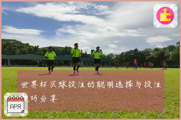 世界杯买球投注的聪明选择与投注技巧分享