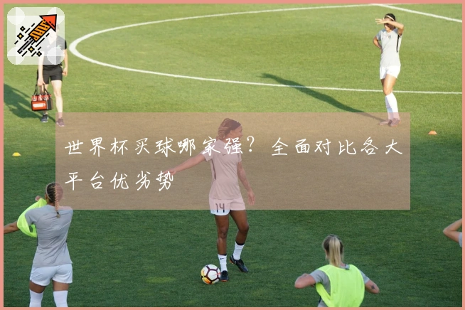 世界杯买球哪家强？全面对比各大平台优劣势