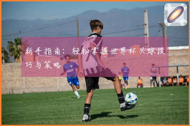 新手指南：轻松掌握世界杯买球技巧与策略