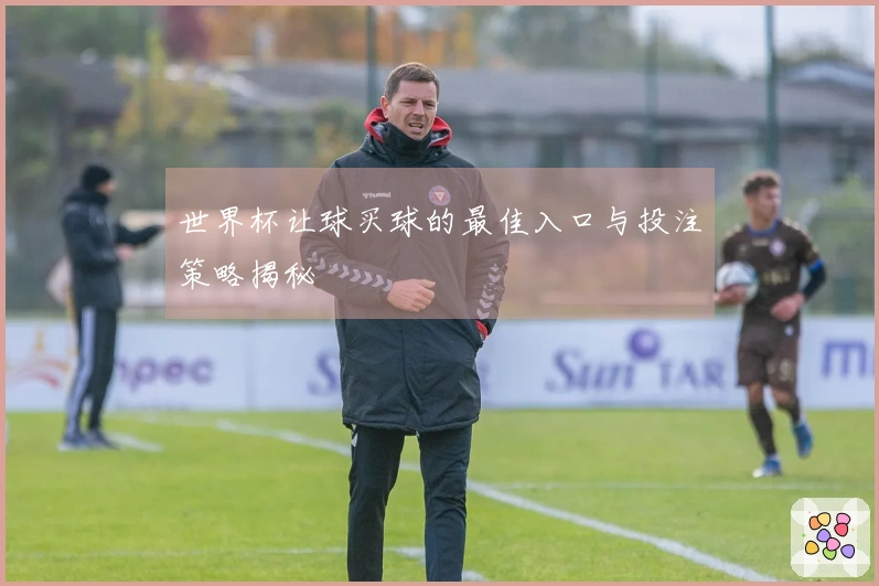 世界杯让球买球的最佳入口与投注策略揭秘
