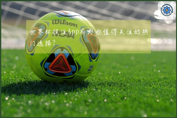 世界杯投注App有哪些值得关注的热门选择？