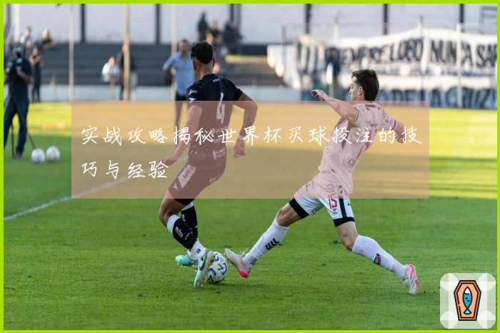 实战攻略揭秘世界杯买球投注的技巧与经验